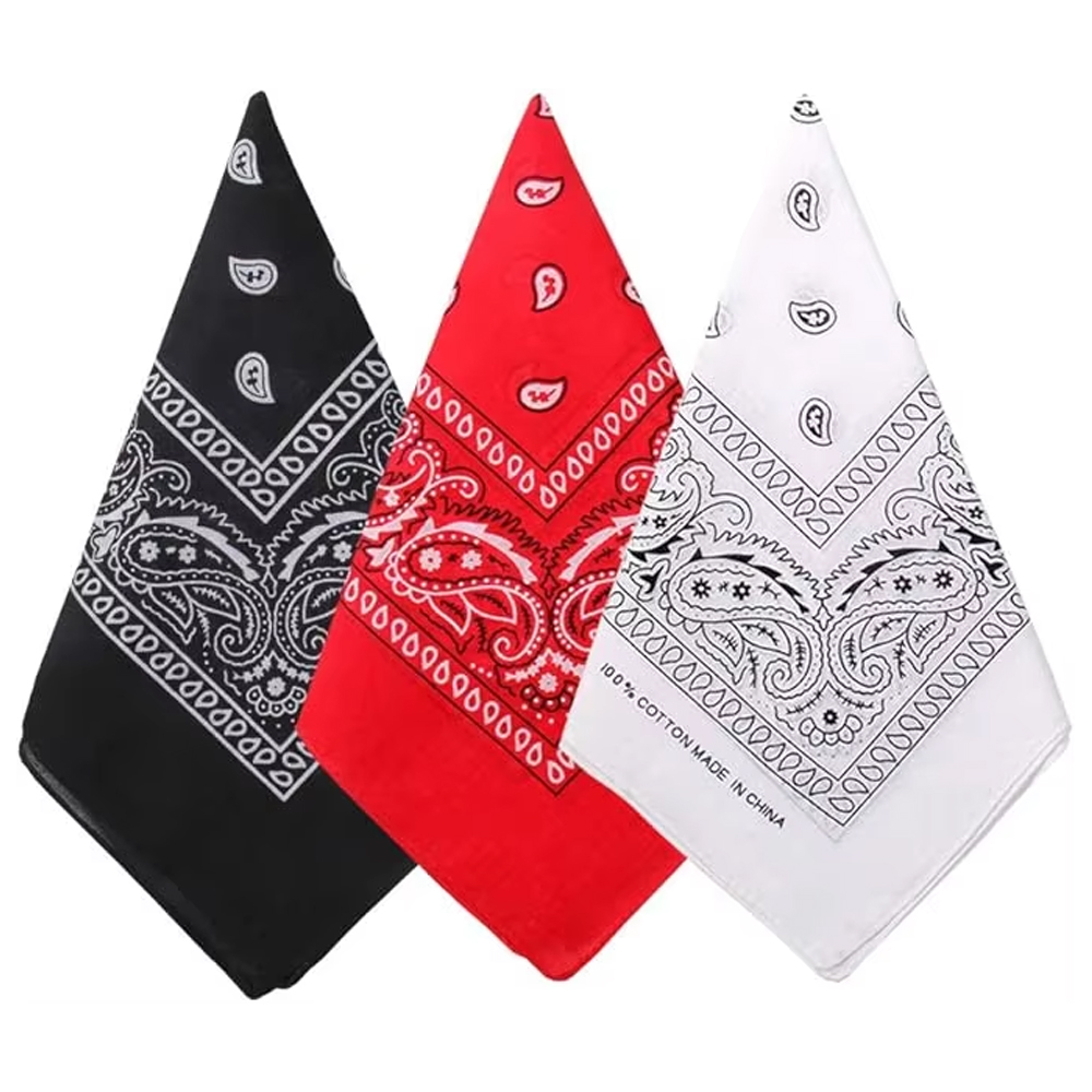 Hip Hop Cowboy Paisley Schal G – Bandana Blank White Bewertung und Preis