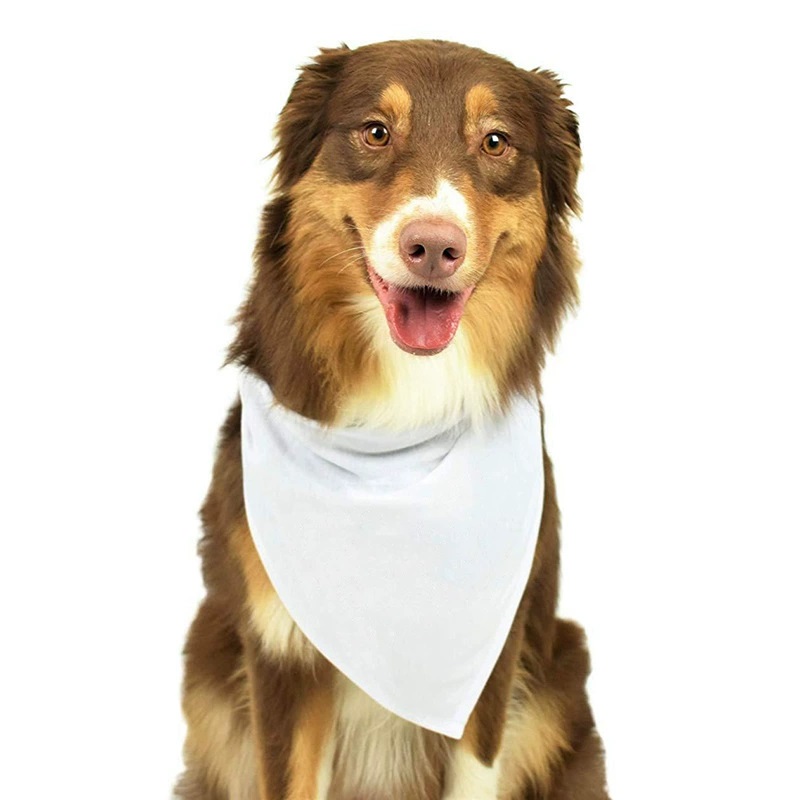 30 Stück weiße, leere Hundeban – Bandana Blank White Bewertung und Preis